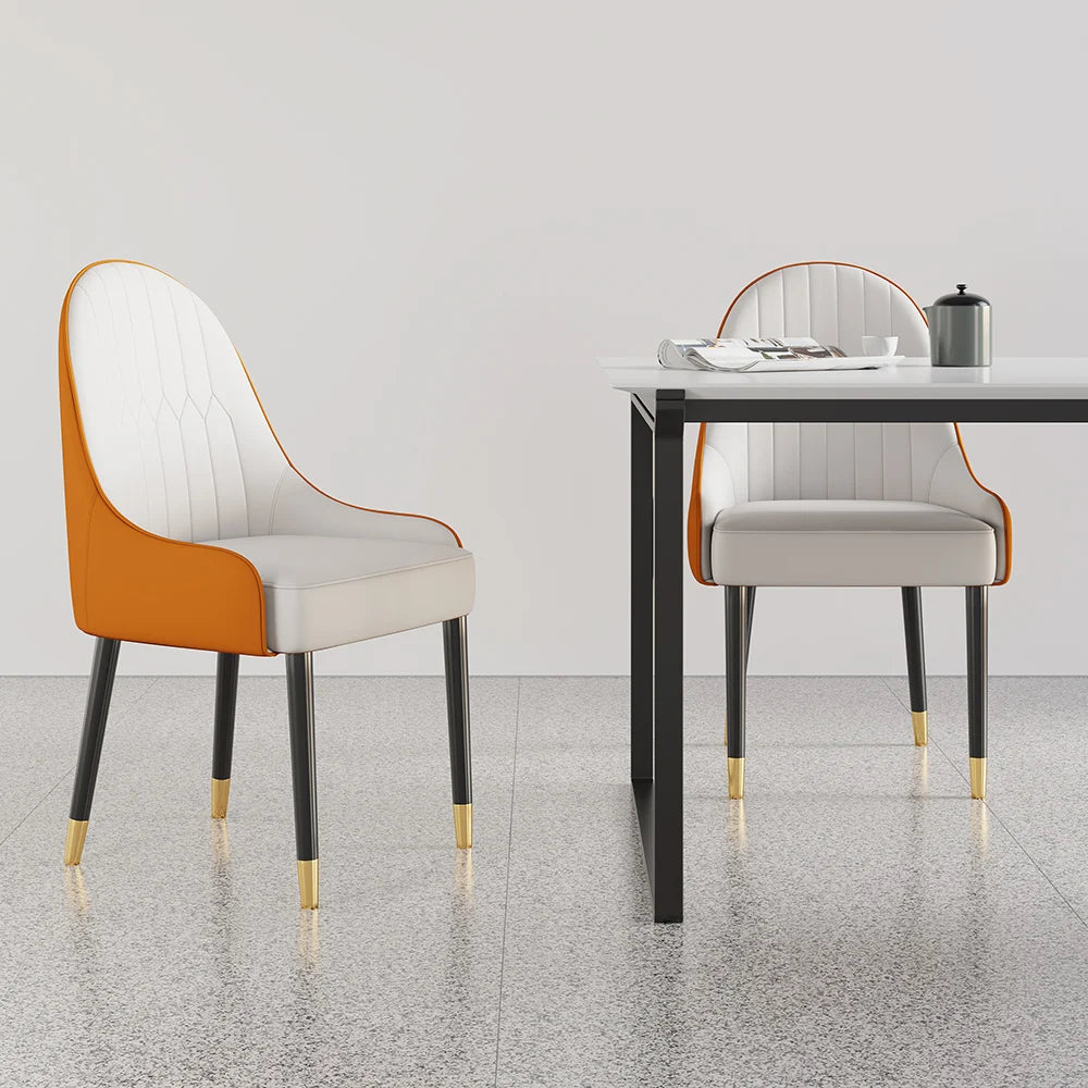 Darg Series Set of 2 Modern Dining Chairs