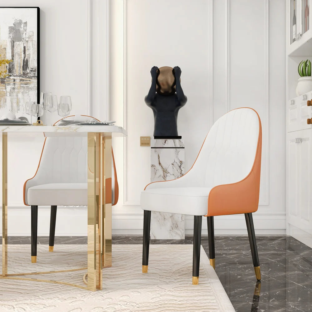 Darg Series Set of 2 Modern Dining Chairs